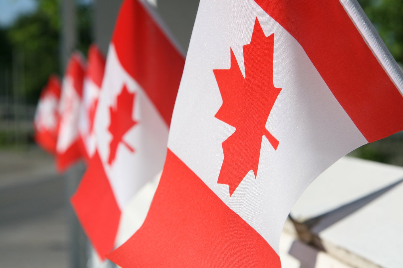 Canada day flags