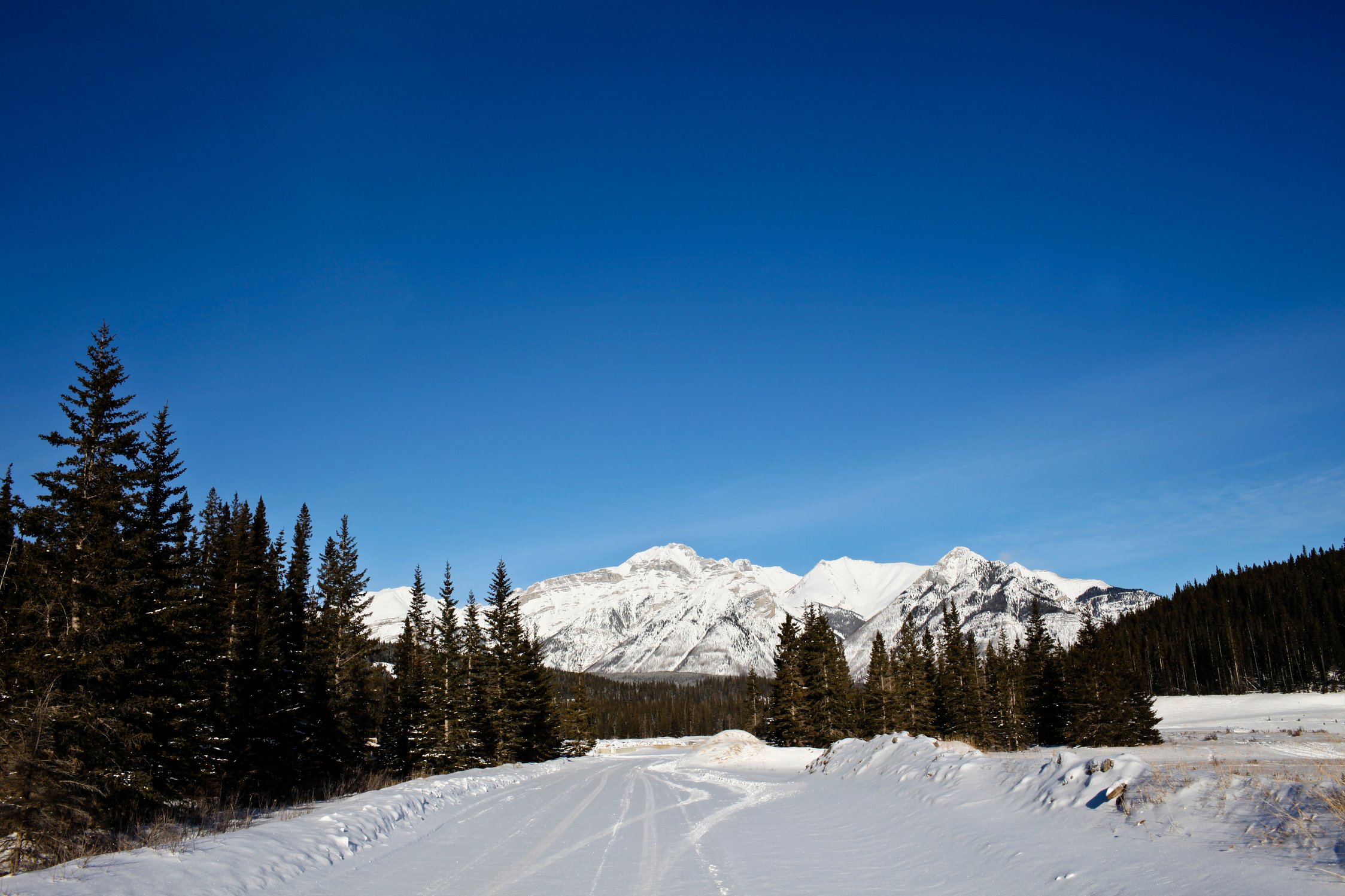 Canadian Winter