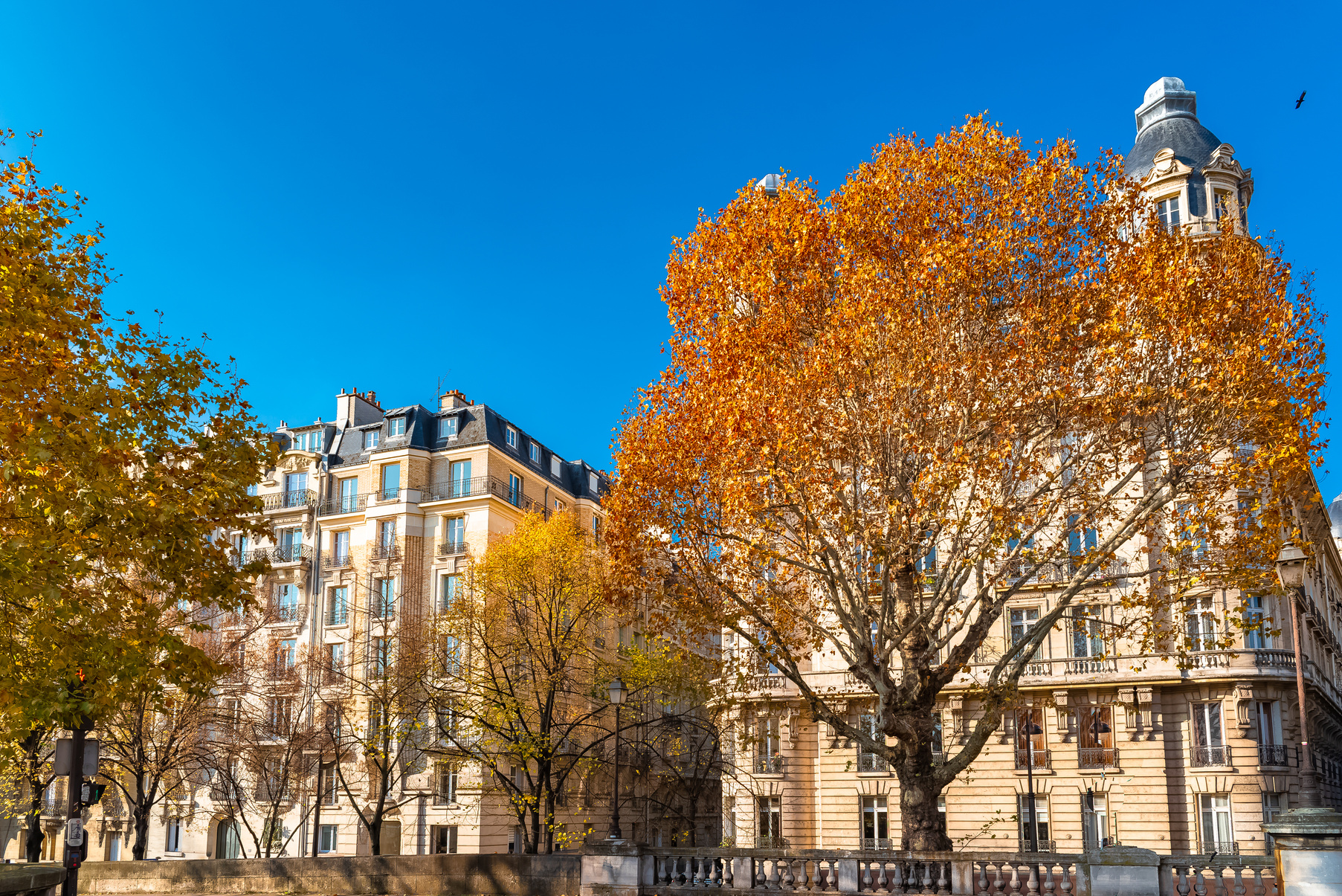 Paris, beautiful buildings